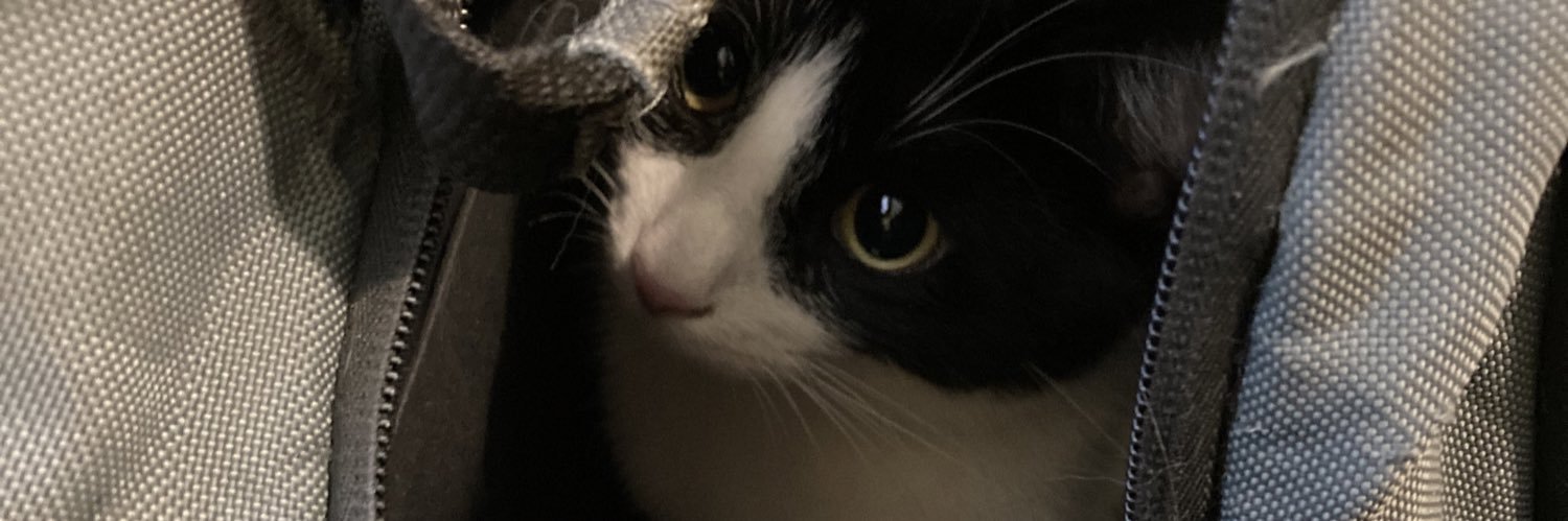 StoryBoyle's profile banner image