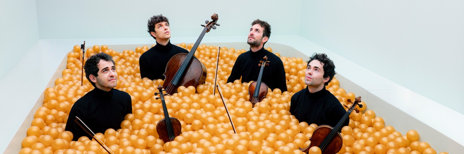 visionstringquartet banner