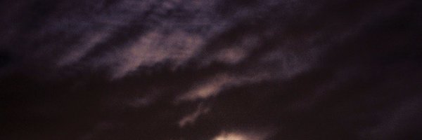 Megillus Profile Banner