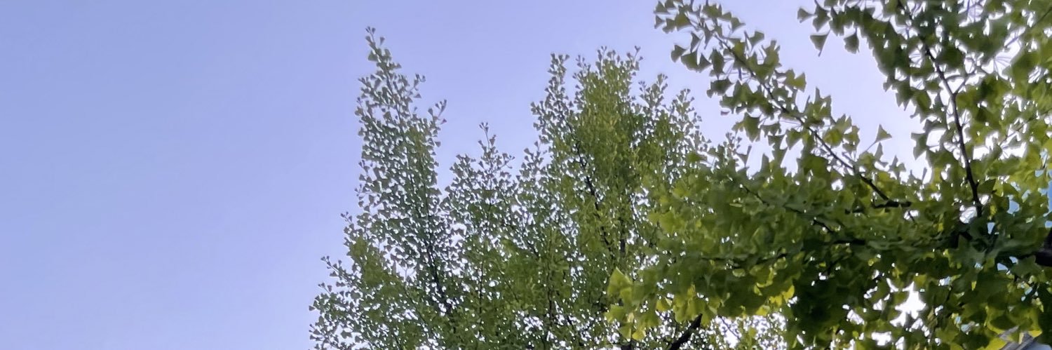 raraloust's profile banner image