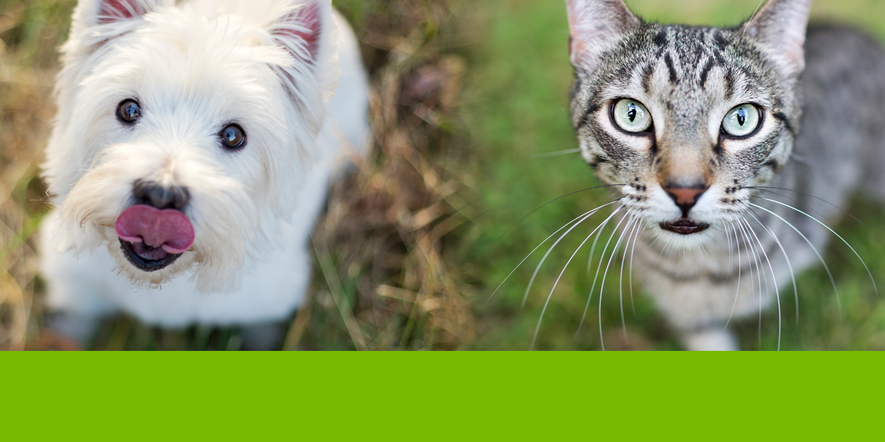 Preventive Vet banner