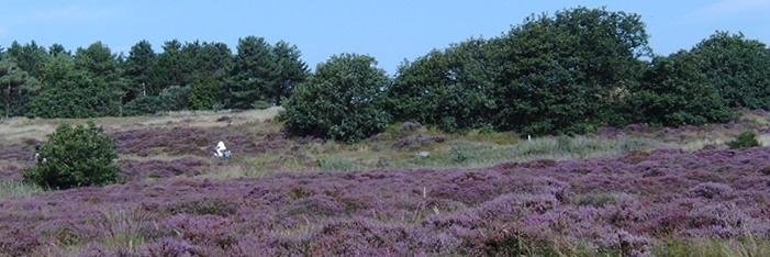 frans molenkamp banner