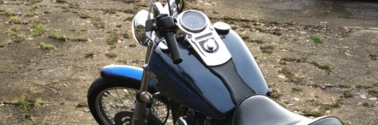 おおくらげ banner