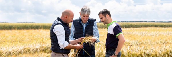 _AXEREAL Profile Banner