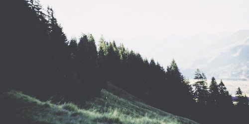 kellymvcds's profile banner image