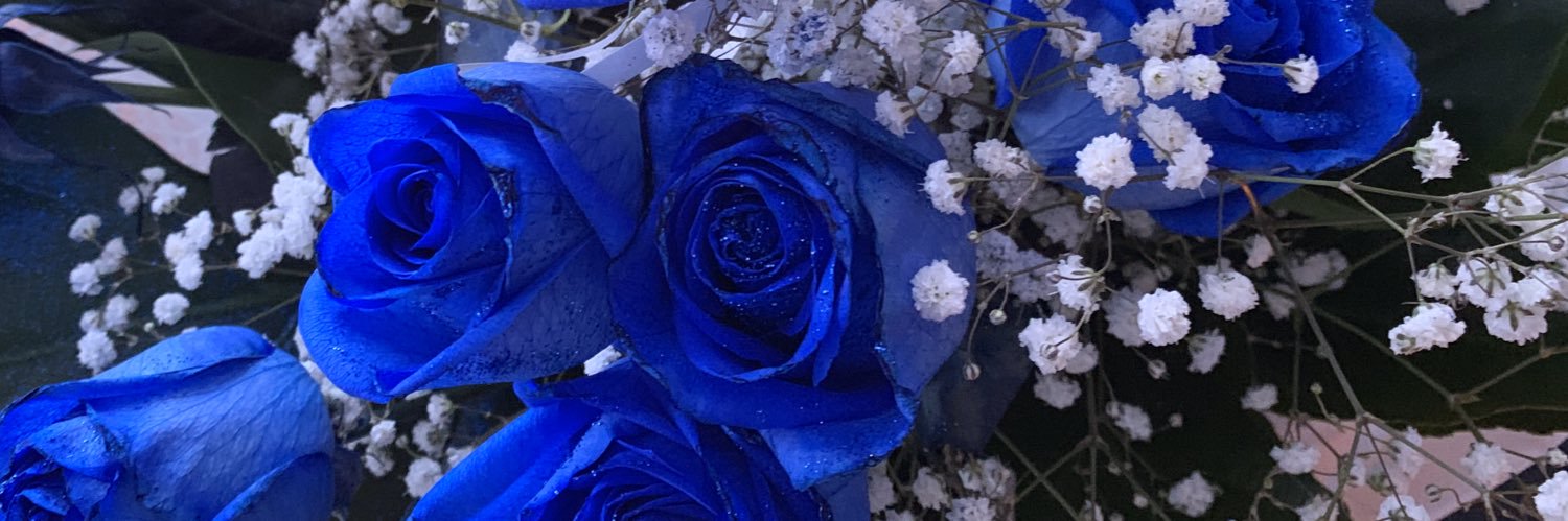 aliiiisona's profile banner image
