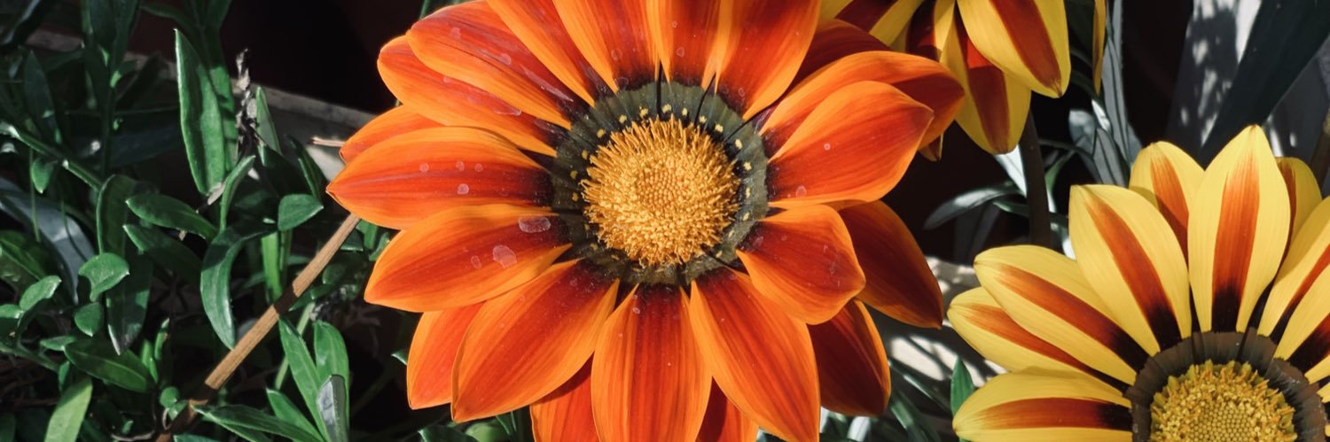 LuFossat's profile banner image