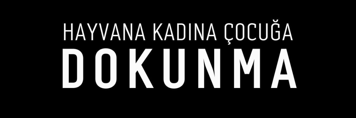 Sevgi Eriş banner