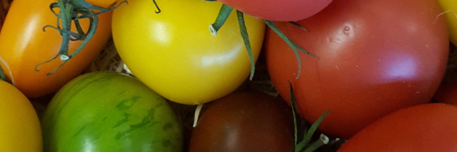 R_Stock77's profile banner image