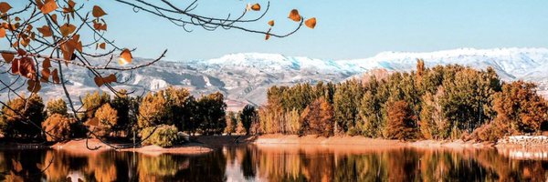 JuliaMahfouz Profile Banner