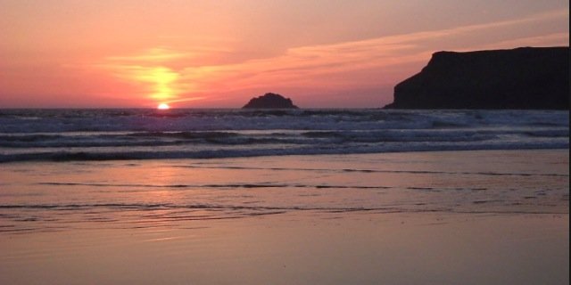 Suzanne Wallace banner