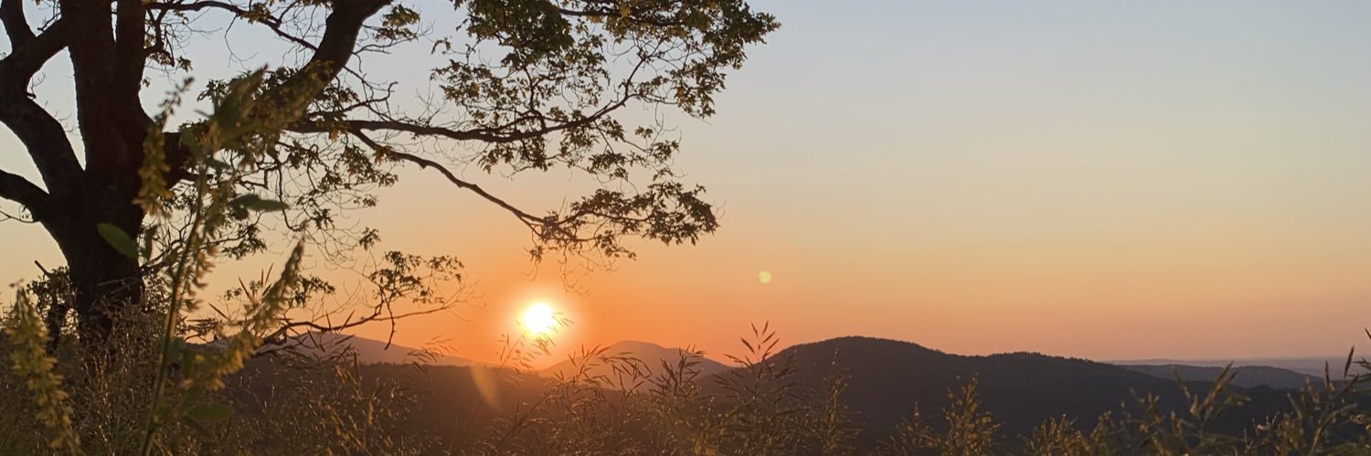 samhardy_3's profile banner image