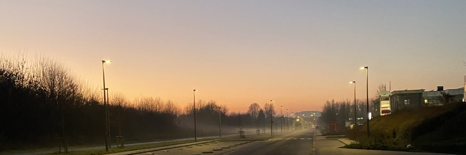 Alnedru's profile banner image