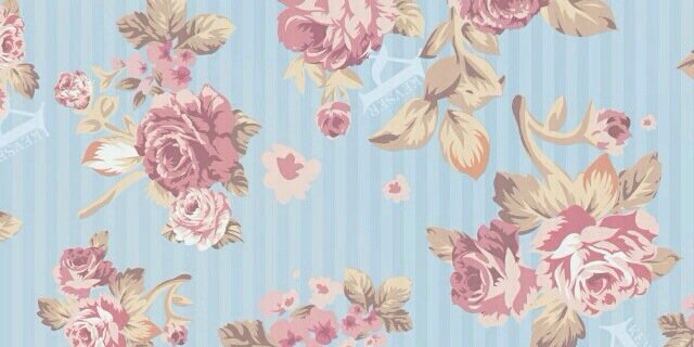 catacuin's profile banner image