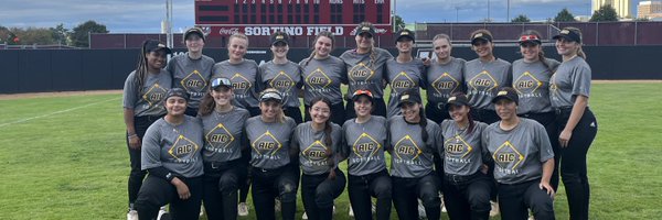 AICSoftball Profile Banner