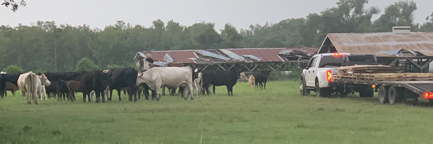 Robert Ingram banner