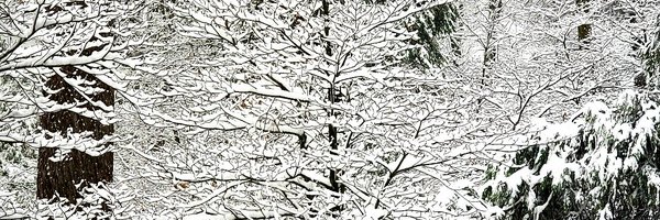 karlsteinberg Profile Banner