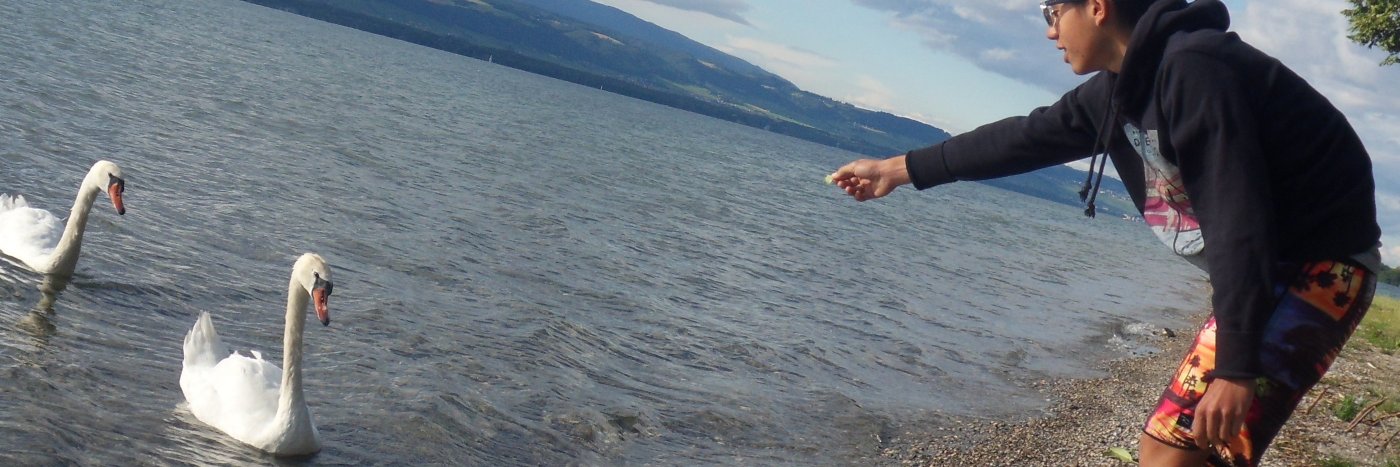 HugoHugo53's profile banner image