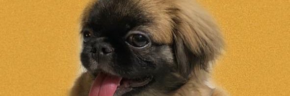 tesbyy's profile banner image
