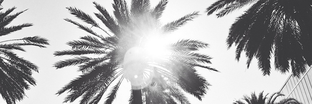 kourtneygdr's profile banner image