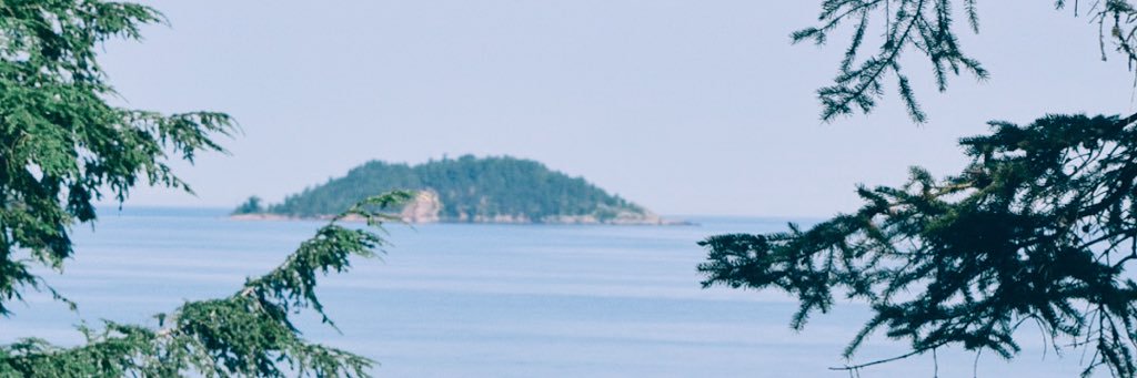 quinntice_'s profile banner image