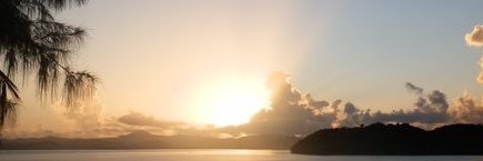 aphrodon21's profile banner image