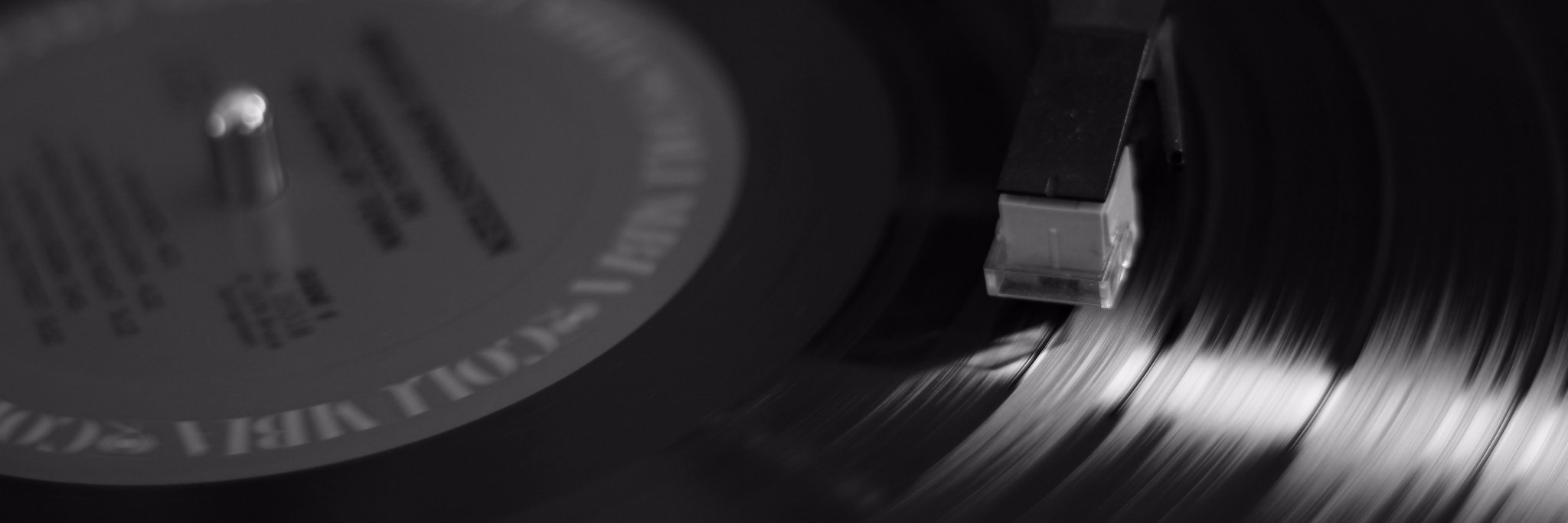 indigolew's profile banner image