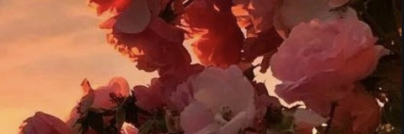 punkers08's profile banner image