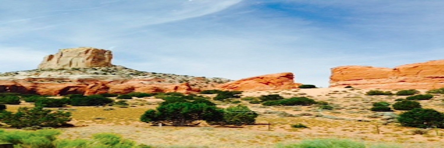 nbroustau's profile banner image