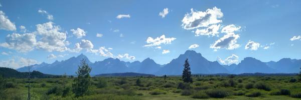 jfieldscience Profile Banner