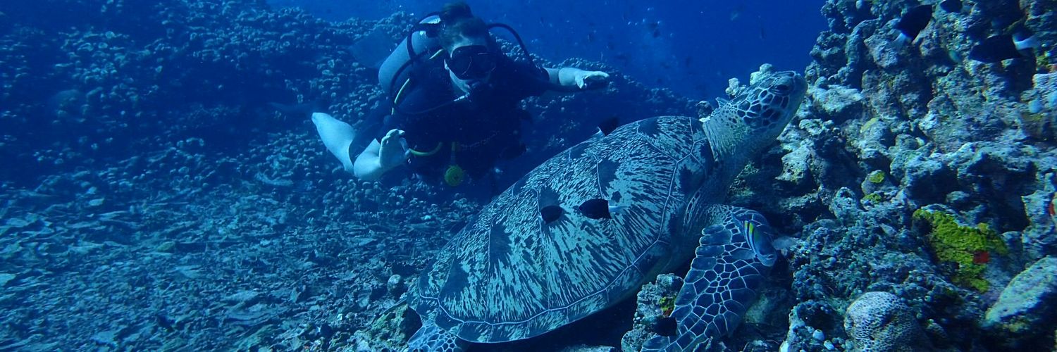 HesterPlantenga's profile banner image