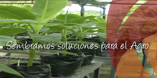 EredaSAS's profile banner image