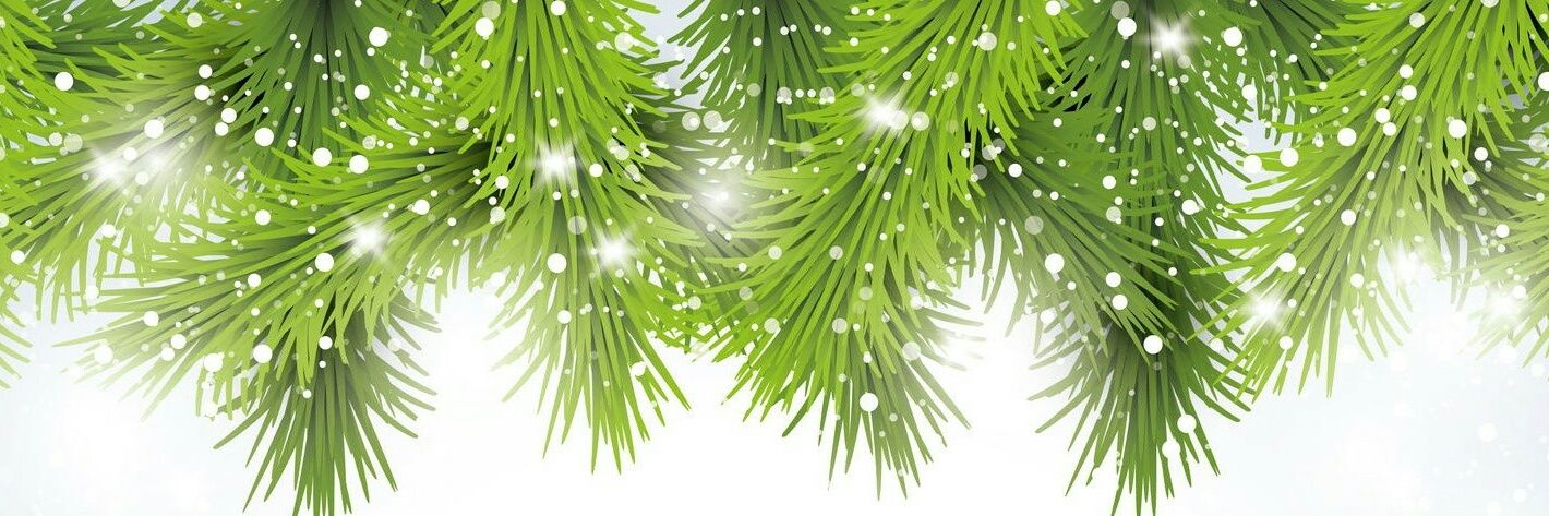 steph_fa_fa's profile banner image