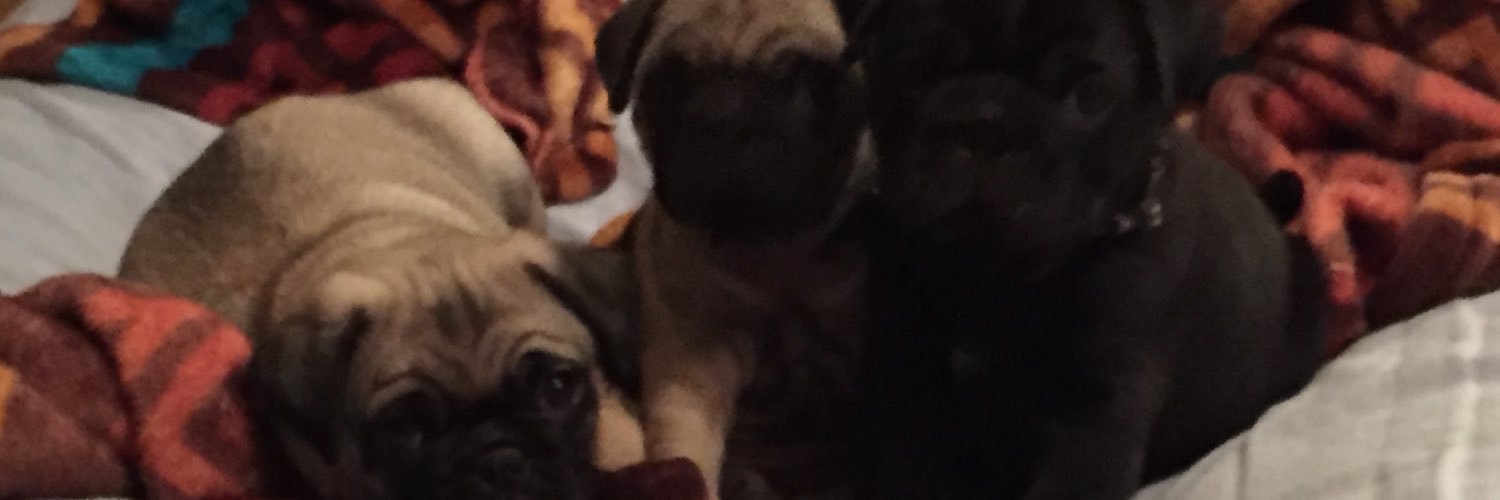 DeziChase's profile banner image