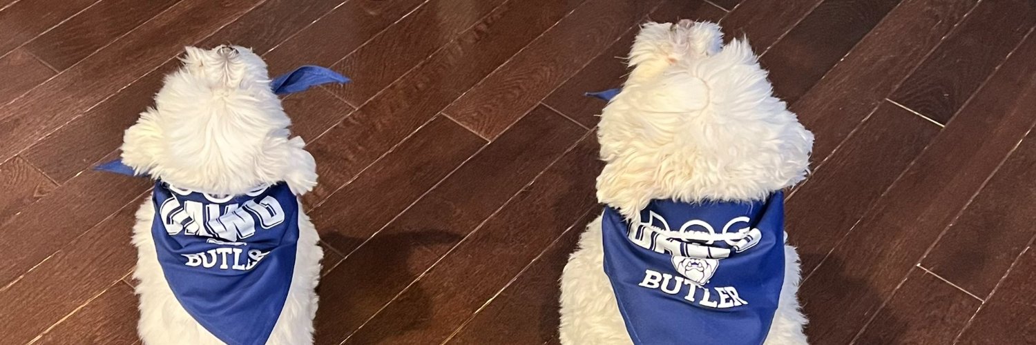 MarabethPereira's profile banner image