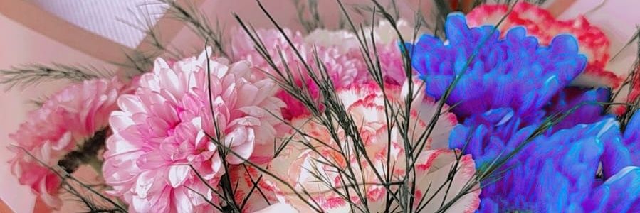 mmervecelik's profile banner image