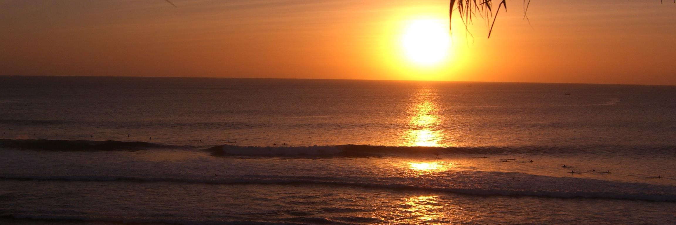 Michael Ardelt banner