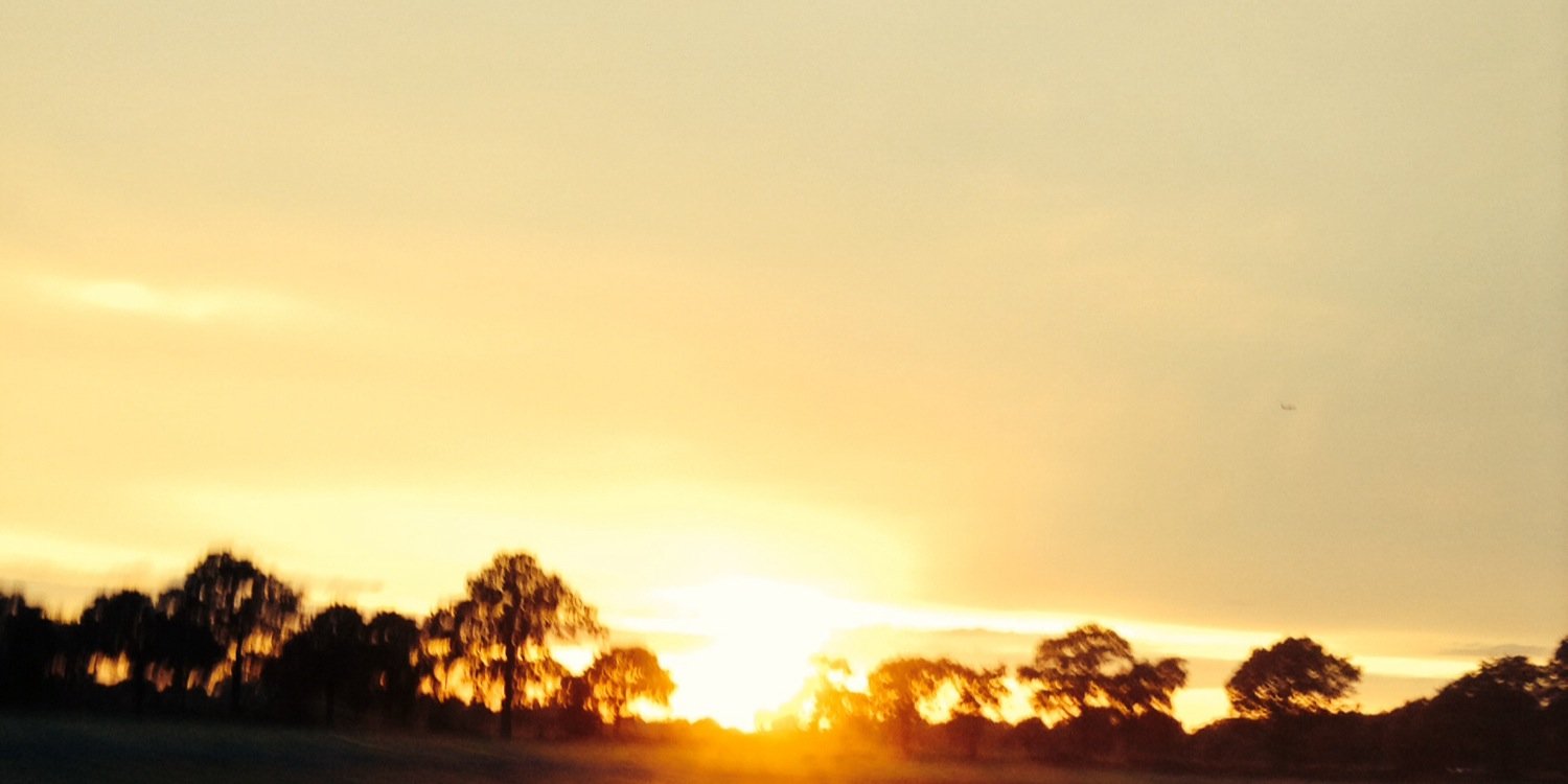 helloitselainex's profile banner image