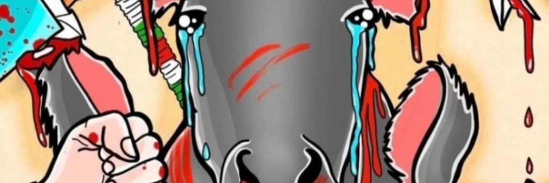 LeonmarquesAma's profile banner image