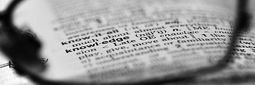 The_Bees_Word's profile banner image