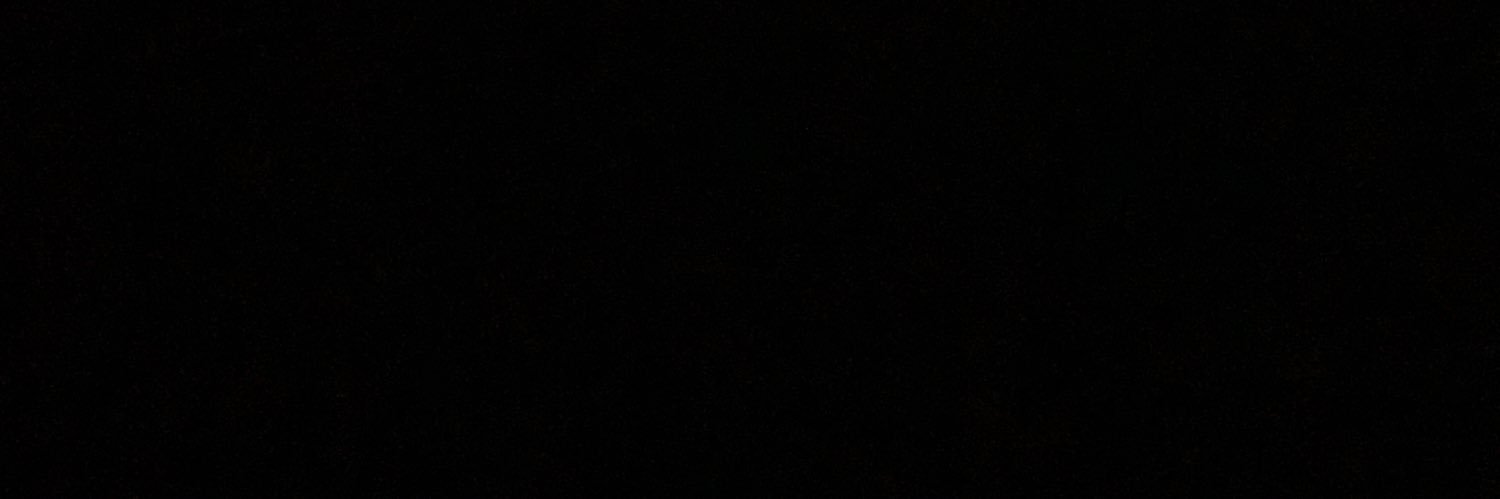 gianevogel's profile banner image