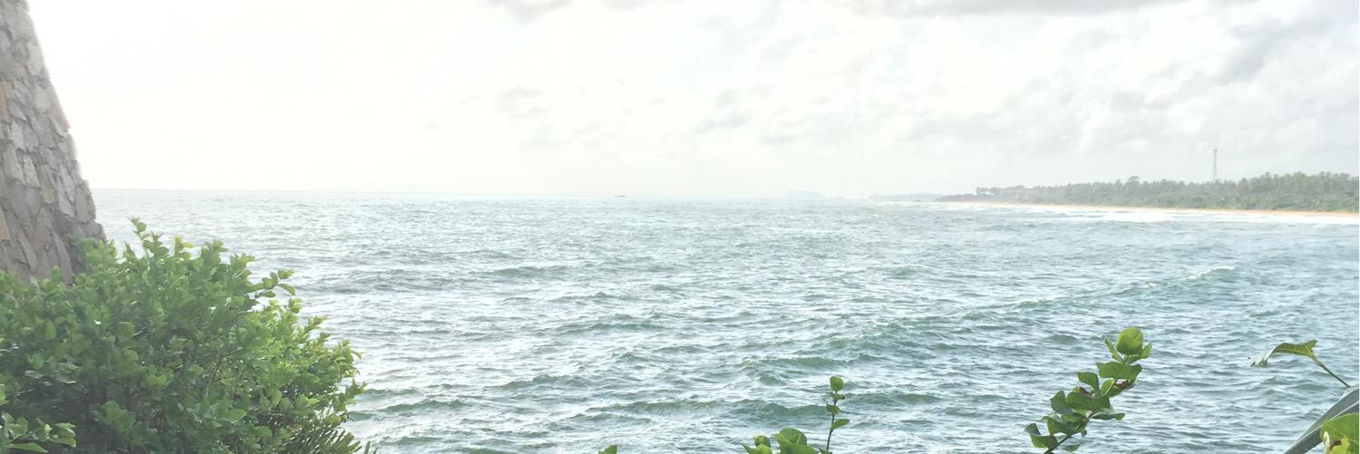 يوسف الكوت banner