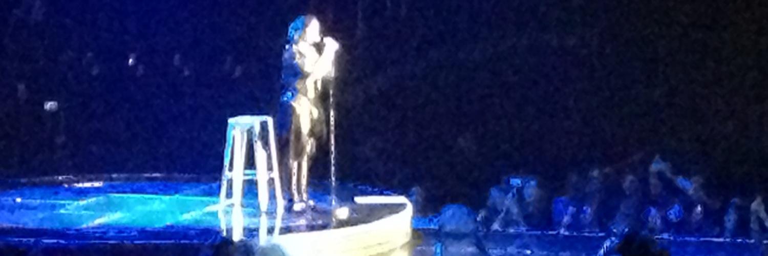 LovaticRobyn's profile banner image