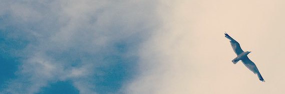 _LyricalLessons's profile banner image