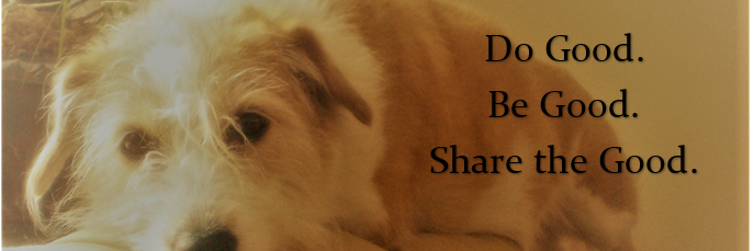 David (Here4theDumpsterFire) Stanley banner