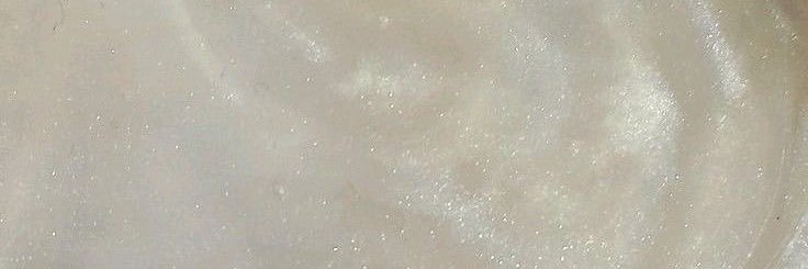 familiarity_6's profile banner image