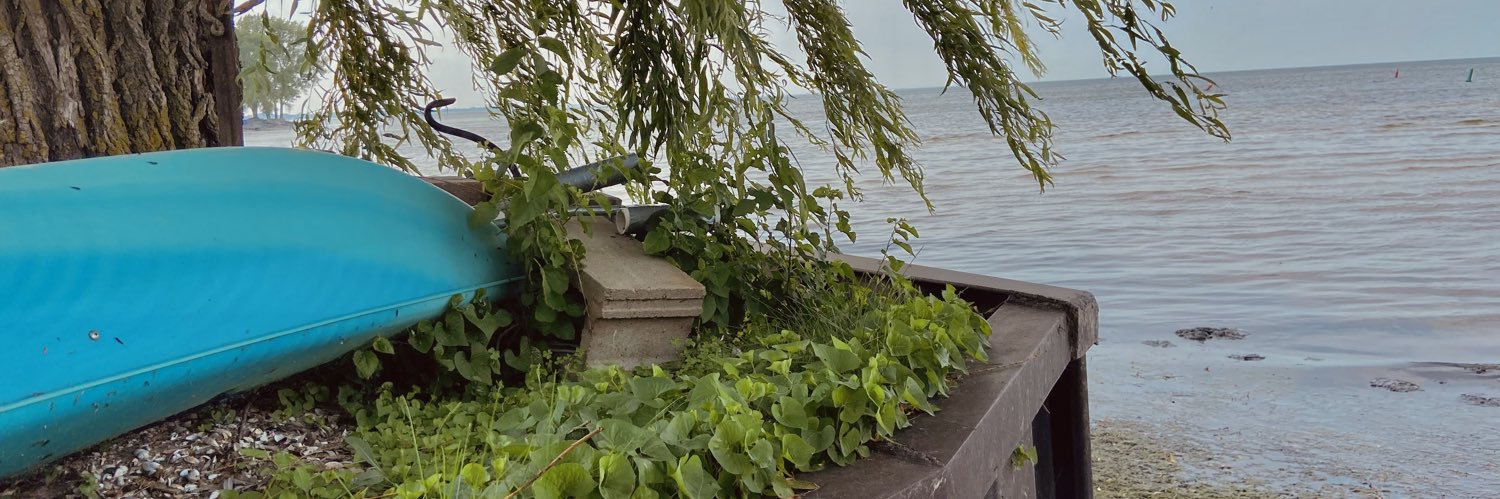 _ogundelfinger's profile banner image