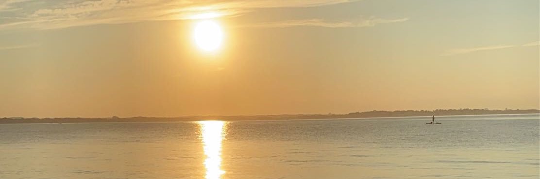 Mandycoopee's profile banner image