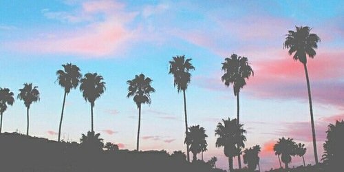 SnowfallAriana's profile banner image
