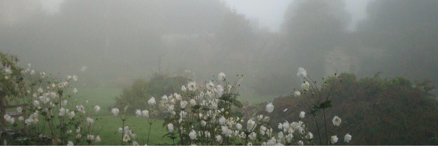 chxnncl's profile banner image
